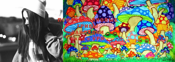 марки lsd Карпинск