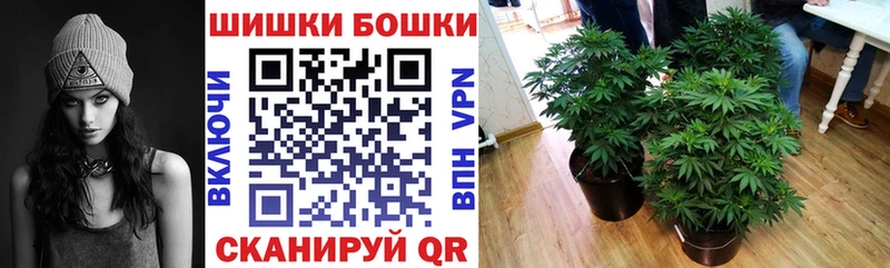 Бошки Шишки марихуана  Купить закладки  Кемь 